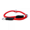 DOG TRAINING COLLAR