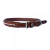 EA Clincher Dog Collar