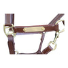 EA Premium Leather Halter